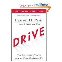 Drive: The Surprising Truth About What Motivates Us