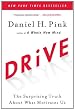 Drive: The Surprising Truth About What Motivates Us