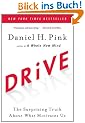 Drive: The Surprising Truth About What Motivates Us