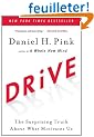 Drive: The Surprising Truth About What Motivates Us