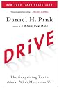 Drive: The Surprising Truth About What Motivates Us
