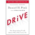 Drive: The Surprising Truth About What Motivates Us