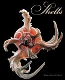 Shells