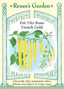 Bean, Pole, French Gold Filet