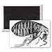 A Flea from Microscope Observation by Robert.. - 3x2 inch Fridge Magnet - large magnetic button - Magnet