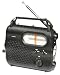 Electronics : RHINO WIND UP RADIO