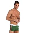 Mens Sexy Atlantic Biker Cut Swimwear 3G by Gregg Homme