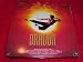 Dragon - Die Bruce Lee Story LASERDISC