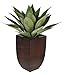 House of Silk Flowers Artificial Tabletop Agave in Gloss Brown Zinc Vase