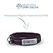 Mighty Paw Sport Dog Collar - Neoprene Padding Constructed with Premium Quality Material - Non-Metal Dog Tag Attachment - Reflective Stitching for Increased Visibility