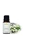 Devinez RaatRani Floral Water, 100% Pure & Undiluted, 30ml RS.349.00