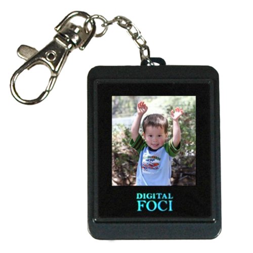 Digital Foci Pocket Album 1.5-Inch Keychain Digital Photo Viewer (Blue)