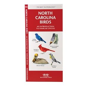 North Carolina Birds: An Introduction to Familiar Species (State Nature Guides) by James Kavanagh and Raymond Leung