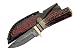 Szco Supplies White Tail Skinner Hunting Knife