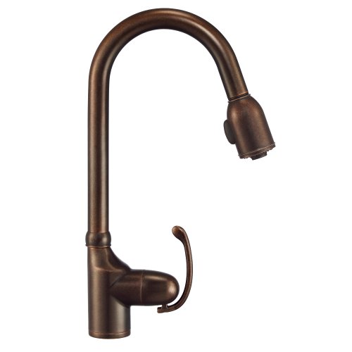 Danze D454520BR Anu Single Tumbled Bronze