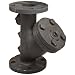 Flexicraft YIF Cast Iron Wye Strainer with Flange End, 2" ID x 9-7/8" Length
