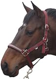 picture of Cottage Craft Dotty Padded Headcollar