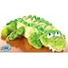 Webkinz Plush Stuffed Animal Crocodile