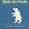 Image of album by British Sea Power