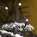 320x MICRO LED BRIGHT WHITE fairy lights, 22.33m, Christmas Festive - 3634-200 - low energy LED