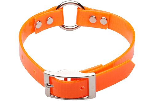 Premier Nite Lite Day-Glo Collar in Blaze Orange, Ring in Center, 1 x 25