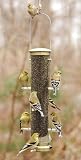 Aspects Thistle Tube Medium Antique Brass Quick Clean Base