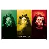 Bob Marley Poster Print, 36x24 Collections Poster Print, 36x24 Music Poster Print, 36x24
