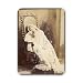 BERNHARDT/CHAIR DROOPING - Mouse Mat Art247 Highest Quality Natural Rubber Mouse Mats - 250 x 190 x 6mm