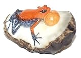 Orange and Black Tree Frog - Tagua Carving