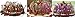Polymerose Silicone BUNDT Fluted Pan or tube pan Mold 8 Cups, 8.5