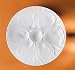 Kitchen & Housewares : Pillivuyt 610622 Oyster Plate With Shell Indentations - Holds 6 Oysters