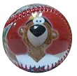 West Tennessee Diamond Jaxx 2007 CIT Baseball