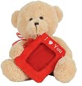 8" Valentine's Day Bear Stuffed Animal with Pictures Frame (Free Upgrade to Usps Priority Mail Shipping)