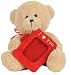 X'mas Gift 8" Bear Stuffed Animal with Pictures Frame (Free Upgrade to Usps Priority Mail Shipping)