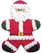 Gourmet Food : Beautiful Cookies Organic Party Favors-Santa Claus Organic Cookies Cookies, 10 Cookies