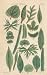 GIANT Wall Sticker of: SIMPLE LEAVES, Plate 23 Illustration by John Miller Botanical Studies from 1789 Featured plants: Holly Hog, Orchid, American Groundsel, Dogbane, Bee Larkspur, Belladonna, Aloe, Common Maple, Passion , Common Bay, Hedge Mustard, Indian Reed, Tartarian Thrift, Great Water Plantain, Burning Thorny Plant (Spurg), Pepper, Indian Cress.