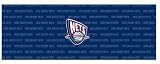 New Jersey Nets Team Auto Rear Window Decal