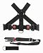 PetBuckle Universal Pet Seat Belt Complete Travel Kit, Includes Harness and Tether, Fits Pets 20-Pounds and More