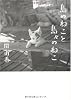 島のねこと島々のねこ (MF文庫ダ・ヴィンチ)