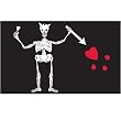 Pirate - Edward Teach - Flag 3ft x 5ft Printed Polyester