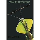 what good are bugs insects in the web of life