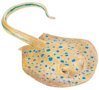 Incredible Creatures: Blue Spotted Ray