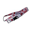 Cleveland Browns Clip Lanyard Keychain Id Ticket Holder