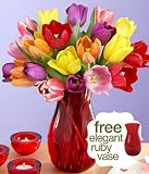 20 Assorted Tulips with Free Ruby Vase by Proflowers Big Save