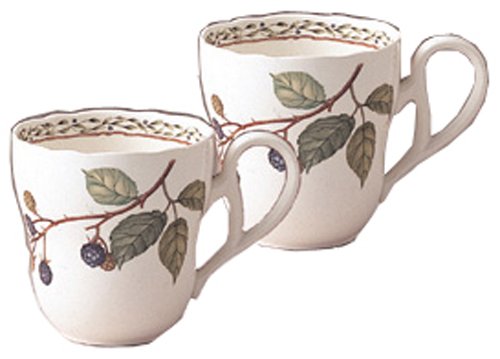 Noritake プリマチャイナ ロイヤルオーチャード マグカップ ペアセット Y6896/9416