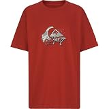 QUIKSILVER Superpower Boys T-Shirt - Red