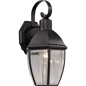 Maxim Lighting 4006CLPE South Park 1 Light Outdoor Wall Light in Petwer with Clear glass