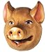 Pig Mask Plastic Childs Costume Accessory