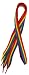 Rainbow Stripe Wide Shoe Laces