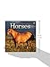 2014 Horses Mini Calendar